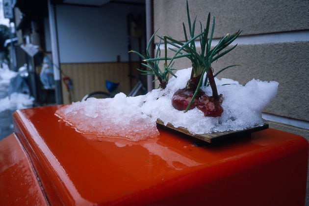 赤タマネギのオブジェが、雪に埋もれている。